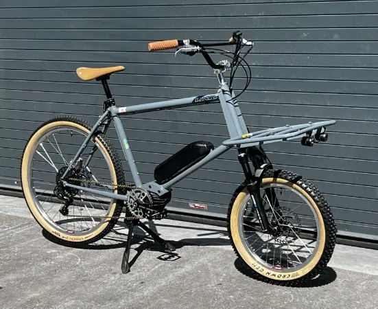 Dual sport bike